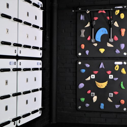 Climbing Panel of TrainingWall