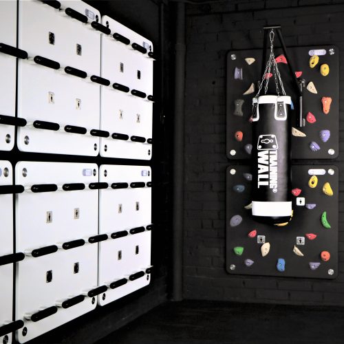 Climbing Panel of TrainingWall