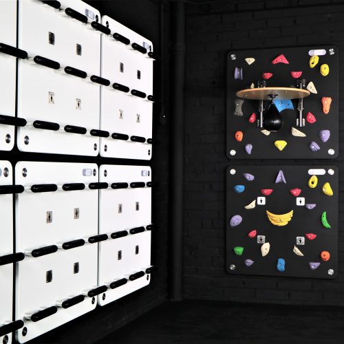 Climbing Panel of TrainingWall