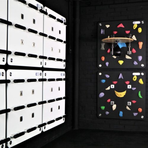 Climbing Panel of TrainingWall