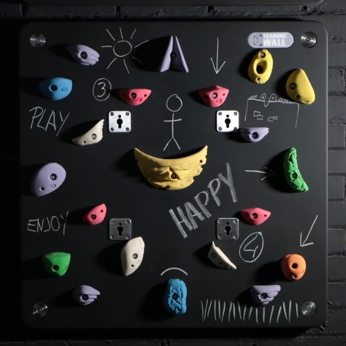 Climbing Panel of TrainingWall