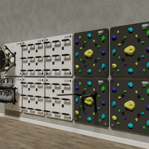 Climbing Panel of TrainingWall
