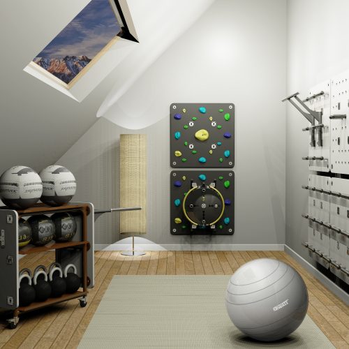 Climbing Panel of TrainingWall