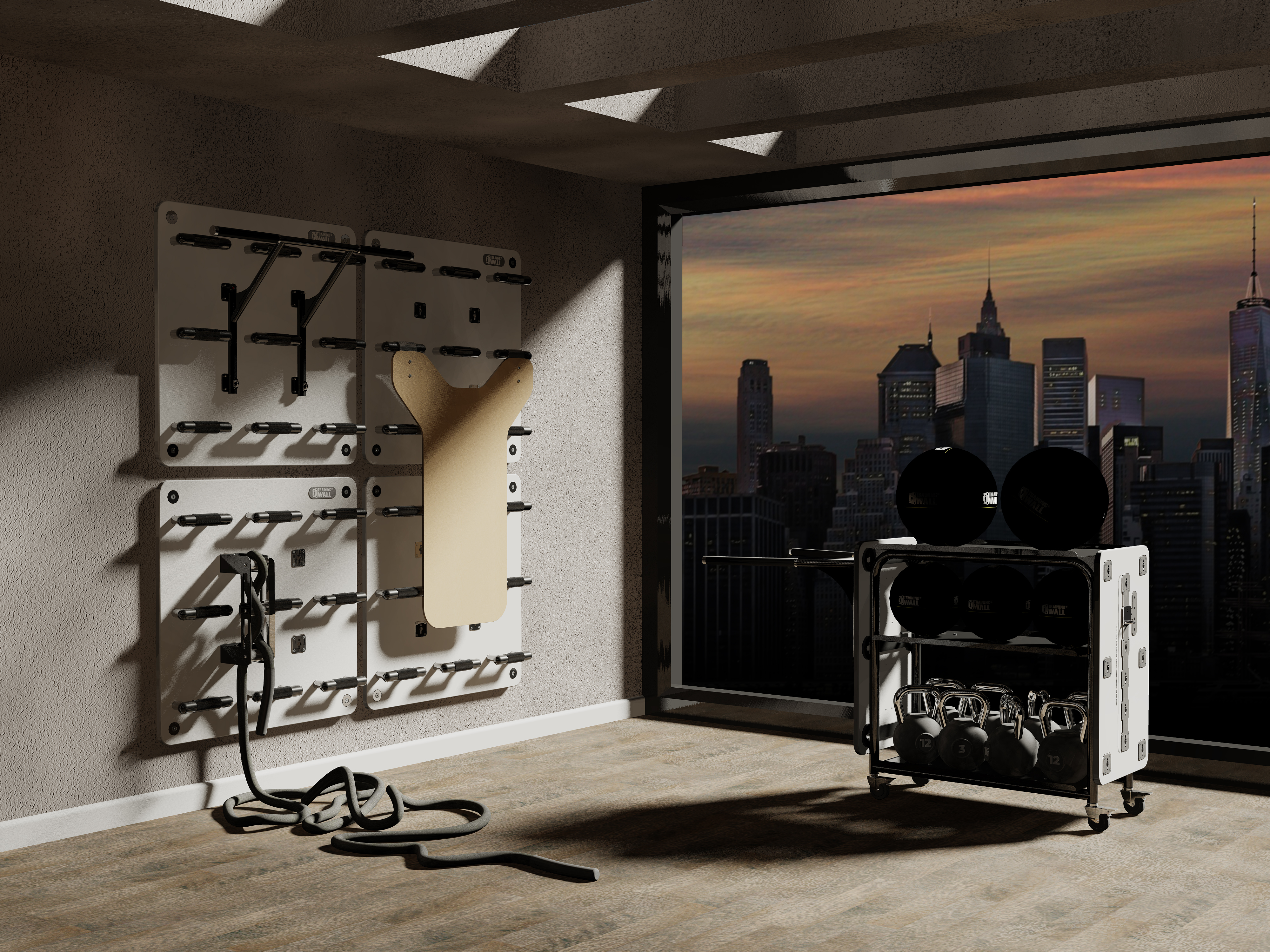 Garage Gym, living room gym