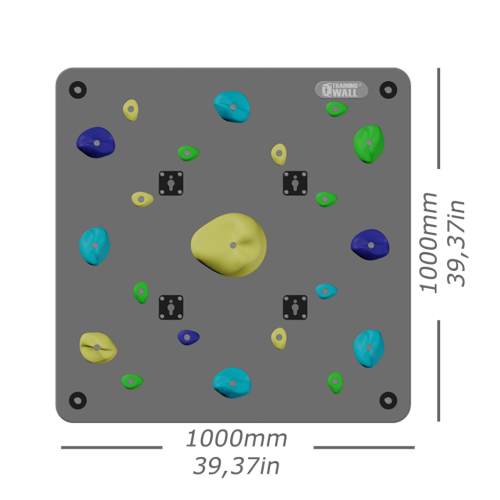 Climbing Panel of TrainingWall