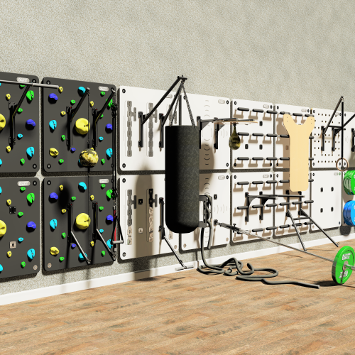 Climbing Panel of TrainingWall